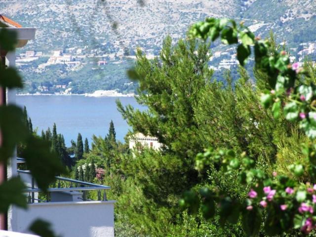 Villa Kipre 2 Cavtat Exterior photo